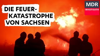 Feuer im Elbsandsteingebirge. Der Kampf um den Nationalpark | Doku