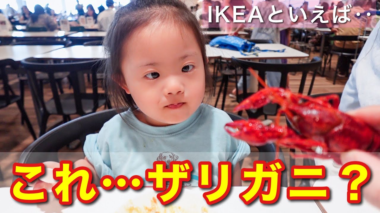 【荒ぶる姉弟】IKEAに行ったらザリガニ食べるよね？