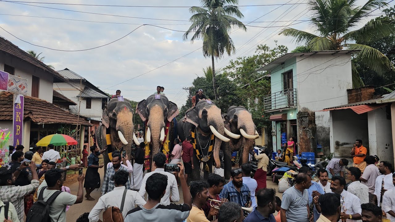 LIVE NOW | Chirakkal Fest Sweekaranam | Subscribe For Next Live Notifications |