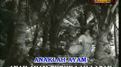 ANAK AYAM (Karaoke) lagu klasik nyanyian dan lakonan M.Zain dari filem"Singapura Dilanggar Todak"  - Durasi: 2:52. 