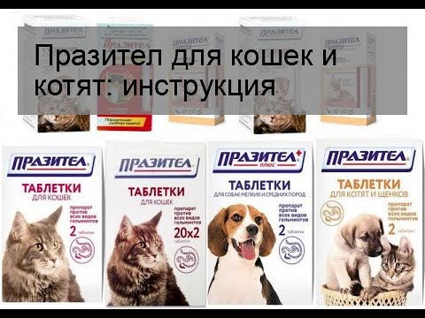 Празител для кошек инструкция