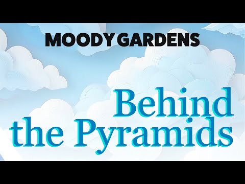 Behind the Pyramids | Special Episode: Christmas Bird Count with Clayton Leopold