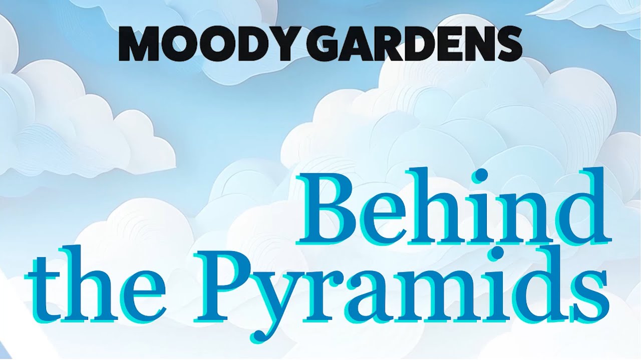 Behind the Pyramids | Special Episode: Christmas Bird Count with Clayton Leopold