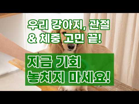 본아페티 프리미엄 강아지 관절 다이어트 스팀 닭고기 수제사료: 건강한 반려생활의 시작!