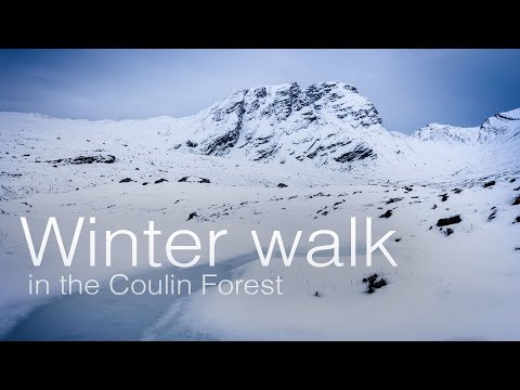 A Winter Walk in the Coulin Forest