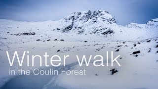 A Winter Walk in the Coulin Forest