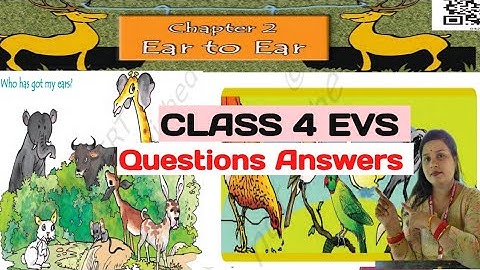Ear to Ear, Class 4/EXPLANATION WITH QUESTIONS AND ANSWER (NCERT) EVS