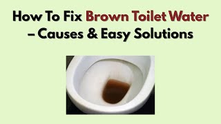 How To Fix Brown Toilet Water – Causes & Easy Solutions Water Is Yellow In Toilet