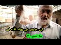 How to Get Fresh Eggs Daily from Your Chickens | Desi murgi se daily undey lene ka triqa