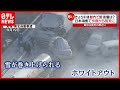 大雪に注意！“ホワイトアウト”も…日本海側は荒天、都内でも雪（2021年1月28日放送「news every.」より）