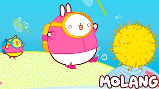 Molang - O PEIXINHO DOURADO - Toons Mania - Reino das Princesas