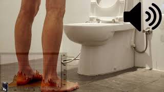 Man Pee In A Toilet And Flush Sound Effect Royalty Free