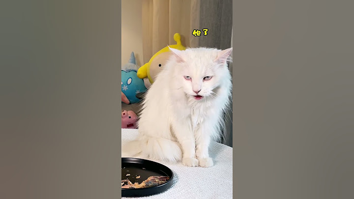 吃黑蒜的都是些什么人呀？ #猫咪的迷惑行为 #萌宠出道计划 #动物搞笑视频 #宠物吃货