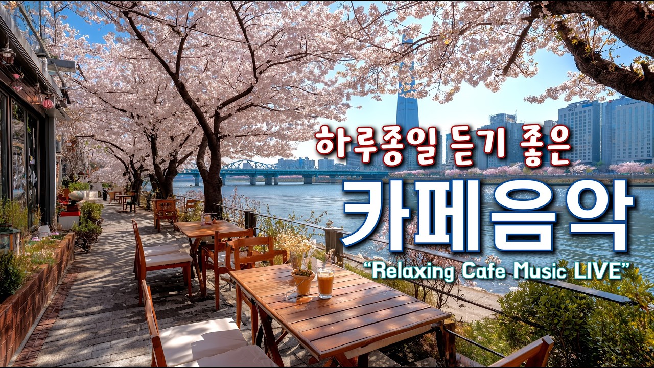 카페에서 듣기 좋은 음악과 하루를 함께 하세요 ☕일할때 듣기 좋은 음악 🎧아침에 듣기 좋은 음악  Relaxing Cafe Music Playlist 260227