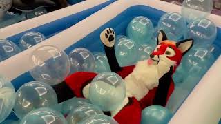 PlushLife Vixen playing in a pool of ballons.