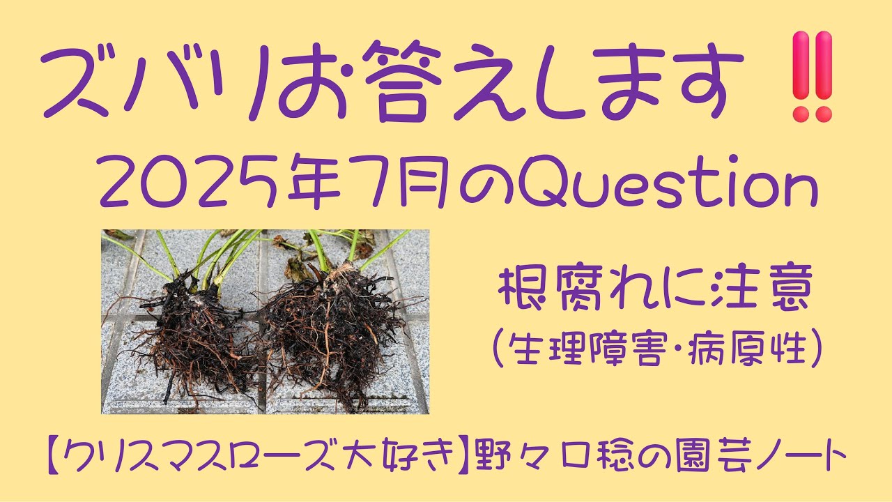 We will answer your question right away! July 2025 Question - YouTube