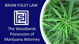Woodlands Criminal Defense Lawyer - Possession of Marijuana