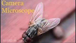 Convert DSLR Camera into Microscope  - TRICK Microscopic photography