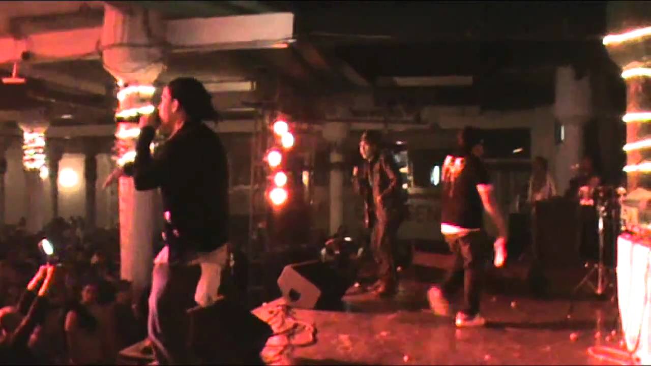 Babuinos abriendo concierto a Morodo endonezya nüfusu