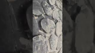 🔥 335/80R20 — Michelin / Pirelli / Continental / Petlas / Dunlop 🔥