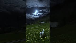 chill #aivisuals #lofi #shorts