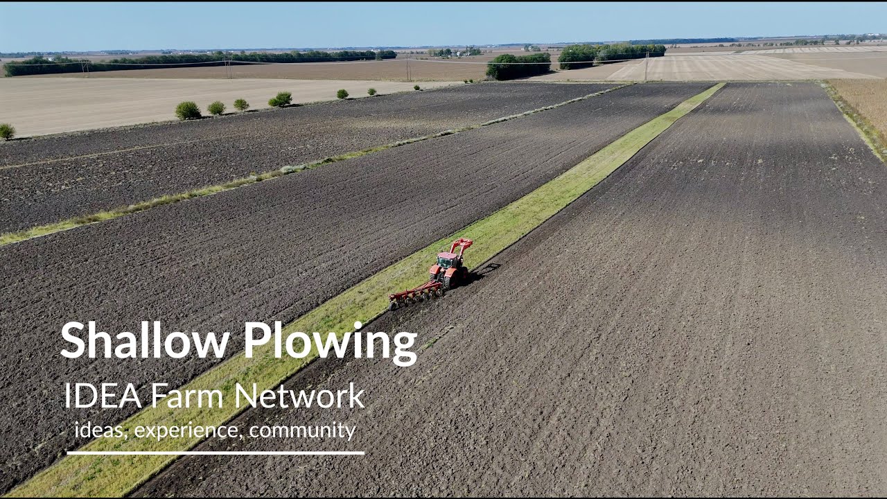 Shallow Plowing