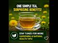 😲 The Tea With Hidden Benefits!☕️