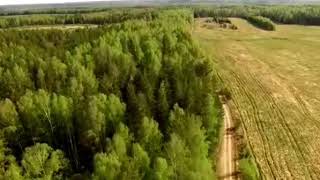 картинка: Рожденная Луной | КР | Мия и Макс Фолл