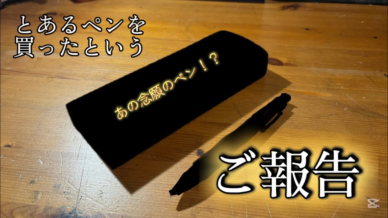 とあるペンを買ったというご報告。