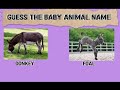 Guess the baby animals name || Part 02 || Normal Level