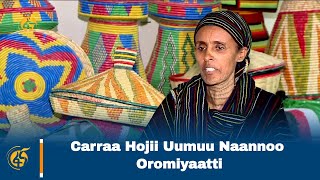 Carraa Hojii Uumuu Naannoo Oromiyaatti