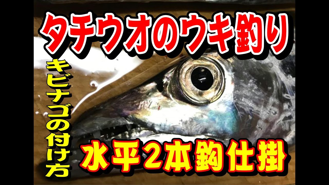 タチウオのウキ釣り キビナゴを使った水平仕掛け編 Youtube