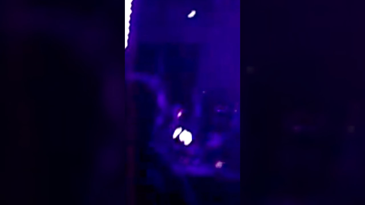 Hello Yes - Live in Seattle 