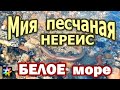 🐛🌊 Белое море во время отлива