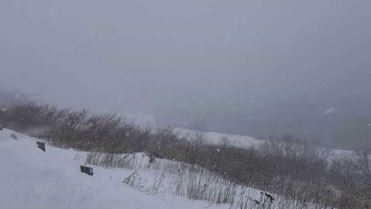 Extreme Weather! Blizzard of 2017! Halifax Harbour Nova Scotia - YouTube
