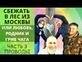 Едем за мечтой часть 3 | Как уехать из Москвы | Прогулка по дремучему лесу