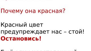 Проект по Окружающему миру 2 класс \