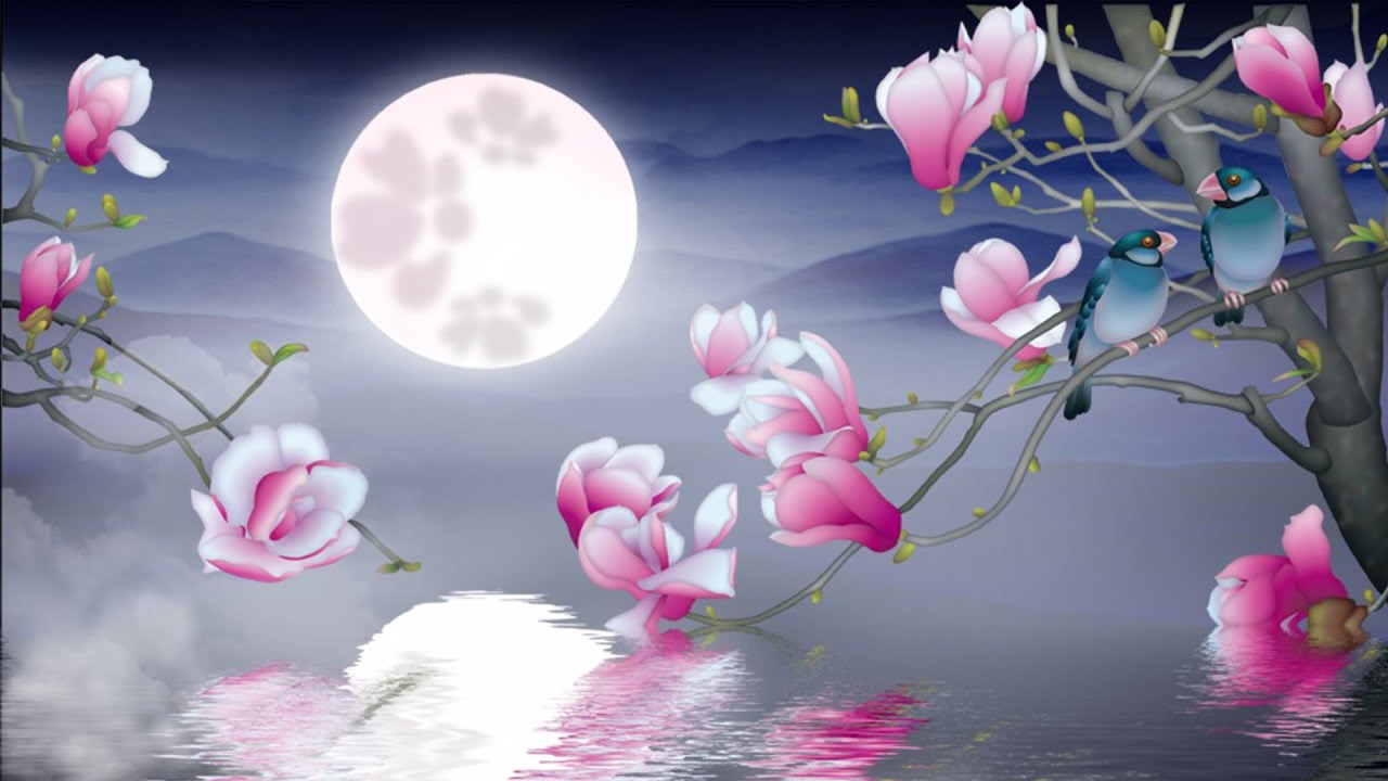 HD WALLPAPER | new hd wallpaper | latest hd wallpaper | 3d wallpaper 2020 | buy flex wallpaper 106