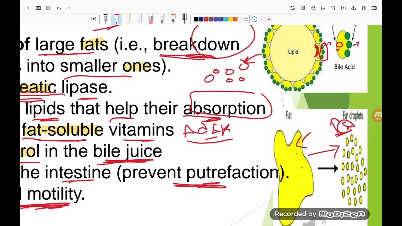  Biochemistry git revision 