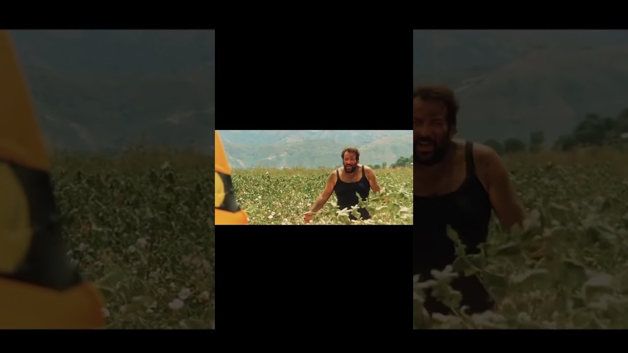 Bud Spencer , Terence Hill : Ich glaub eher dein Gehirn ist zu trocken