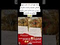 يالله فهم أنت جابت ليهم كسكس المسجد وكتبات فالورقة أدعو لي بزوج صالح تمشي طالبها الطالبو ليك 2 ملاين