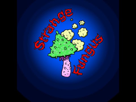 StrangeFungus: Game Dev Beginner’s Journey || Streaming, Learning & Creating