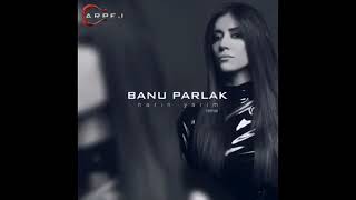 Banu  Parlak    narin yarim  Remix