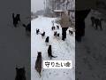 いつも応援ありがとうございます！皆様は辛い的悲しい時、どのように乗り越えていますか。人生とは自分の意に反してまさかの事態に直面するものですね。しかし私はどんなことがあっても守りたい命がここにあるのです