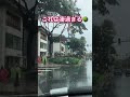 外出自粛通知！ #ハワイ #hawaii #honolulu 