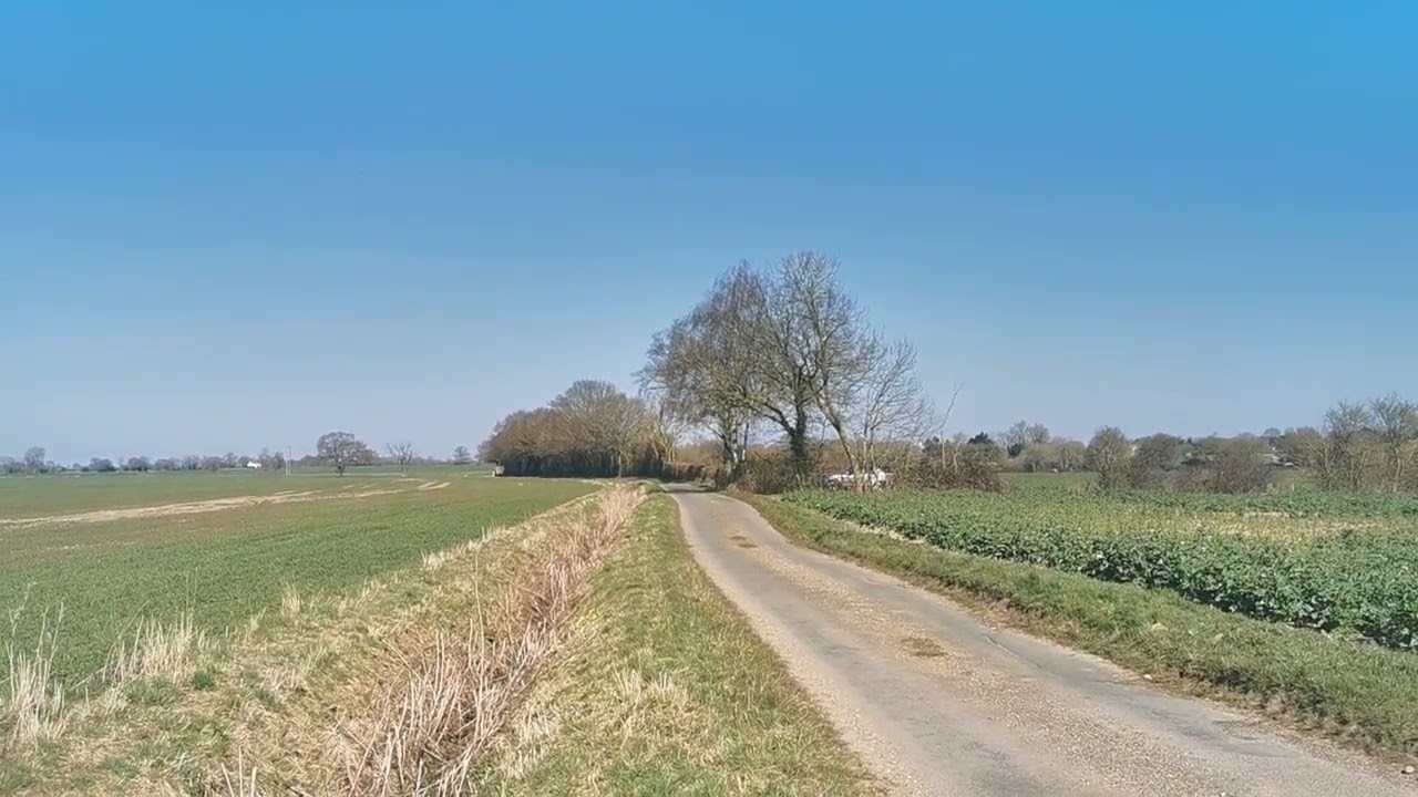 No Black Cat Copy Cat Black CAT Of Burston Son of SAM Sandringham Serial Killer Here Monster Bluff 7