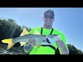 Snook! Red Fish! Flats Fishing at Anclote Key Florida!