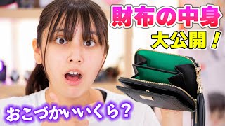 財布の中身を大公開！ろみのお小遣いと所持金はいくら？汚すぎ？！【財布の中身】