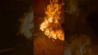 Bonfires the easy way #stihl #leafblower #fire #bonfire #stihltimpersports
