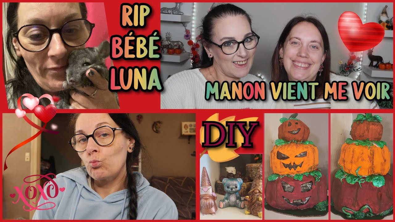 Manomn Rip Weekly Vlog 40 | RIP bébé Luna 😢 - Des DIY 🛠️ - Manon vient me voir ️🔥 ...